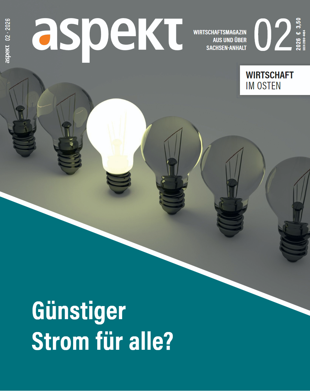 Günstiger Strom für alle?